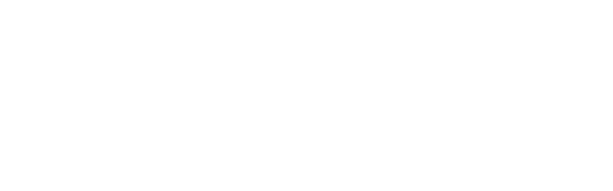 Booking Surf Logo