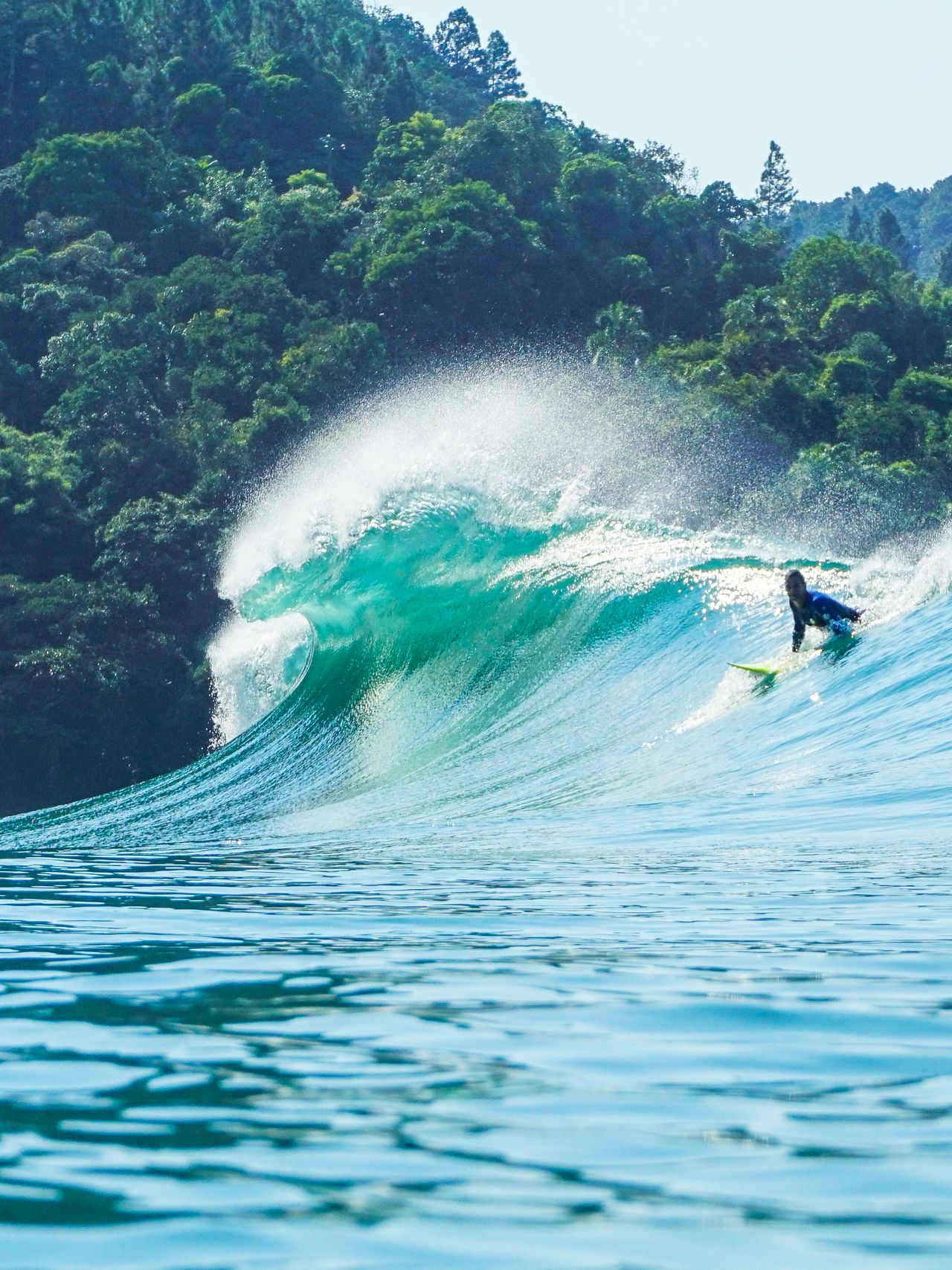 Surfista em onda perfeita cercada por vegetacao